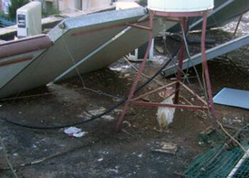 פינוי עופות מגג בנין זלמן שזר 207 בשכונת כנען צילום אריה גור אריה