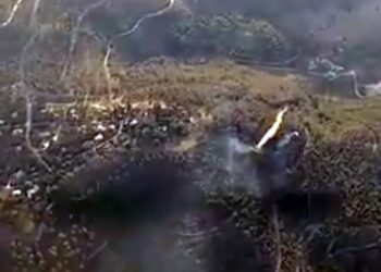 סרטון: השריפה ביער ביריה