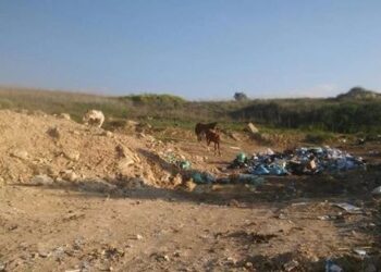 ערימות גניזה התגלו מושלכות בביזיון באשפה