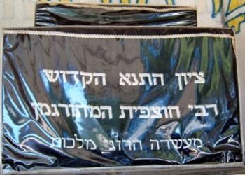 חוצפית המתורגמן