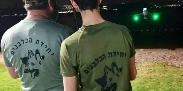 ממשיכים לחפש את הנעדר רפאל חיים חדד