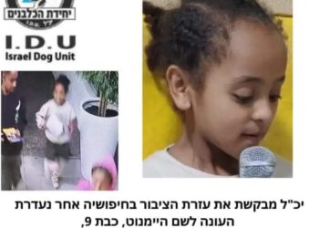 ראשי