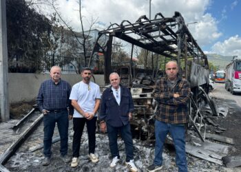 פרוטקשן בצפת